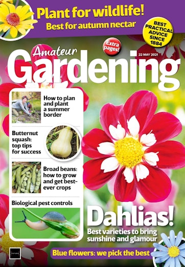 Amateur Gardening Preview