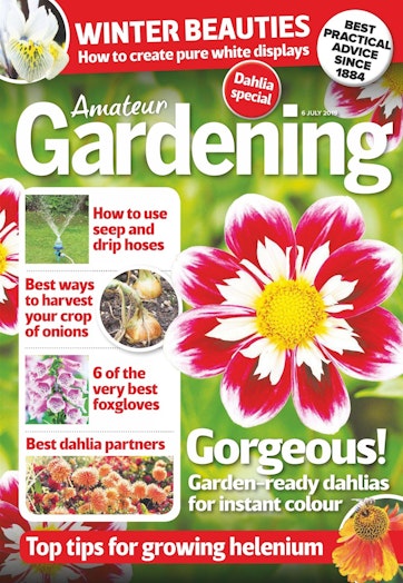 Amateur Gardening Preview
