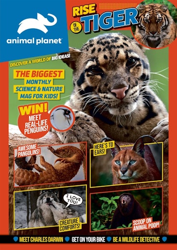 Animal Planet Kids Preview