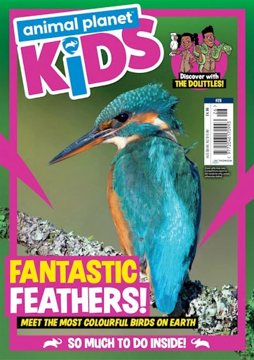 Animal Planet Kids Magazine - Issue 26 Subscriptions | Pocketmags
