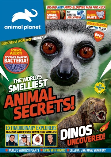 Animal Planet Kids Magazine - Issue 6 Back Issue