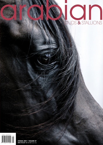 Arabian Studs & Stallions Preview