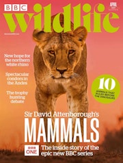 BBC Wildlife Magazine issue April 2024