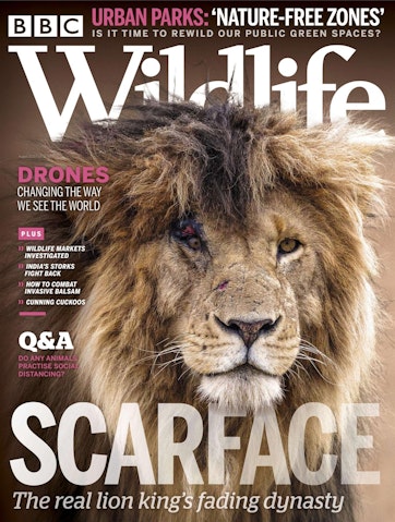 BBC Wildlife Magazine - August 2020 Back Issue