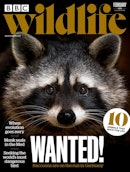 BBC Wildlife Magazine Complete Your Collection Cover 3