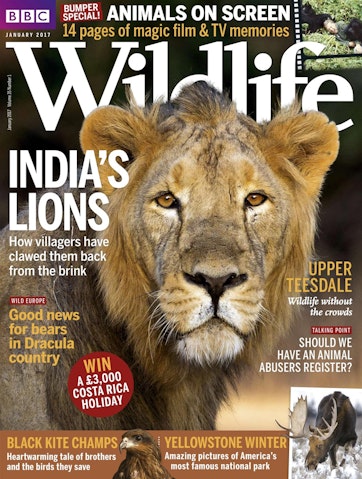 BBC Wildlife Magazine - January 2017 Back Issue