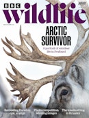 BBC Wildlife Magazine Complete Your Collection Cover 3