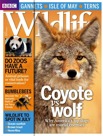 BBC Wildlife Magazine Preview