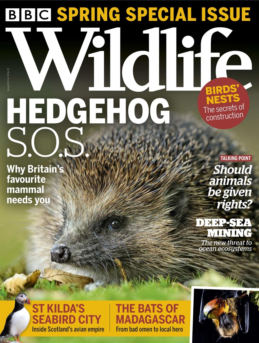 bbc-wildlife-magazine-spring-2021-cover.jpg