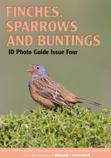 Bird ID Photo Guides Preview