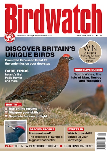 Birdwatch Magazine Preview