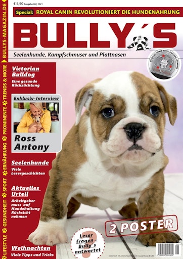Bully’s - Das Bulldoggen-Magazin Preview