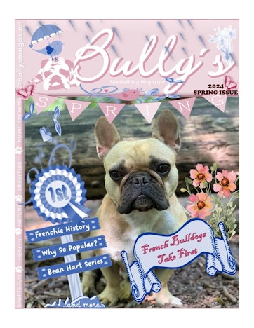 Bully’s - The Bulldog Magazine Preview