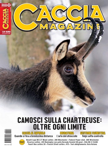 Caccia Magazine Preview