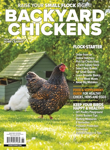 Chickens Magazine Preview