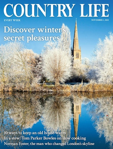 Country Life 11 December 2019 - Country Life
