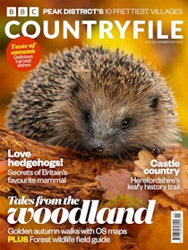Country Life 23 August 2023 - Country Life