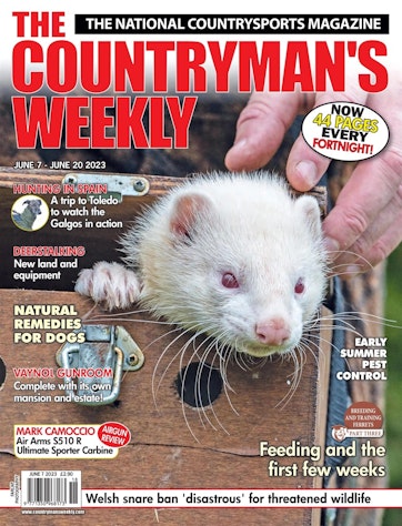 Countryman's Weekly Preview