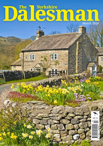 DALESMAN (MONTHLY)