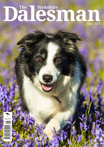 DALESMAN (MONTHLY)