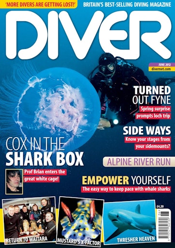 DIVER Preview