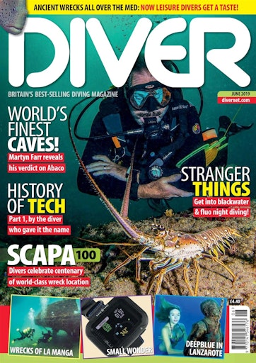 DIVER Preview