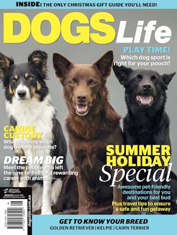 Dogs Life Preview