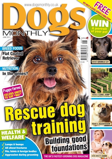 Dogs Monthly Preview