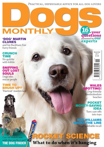 Dogs Monthly Magazine - November 2017 Back Issue