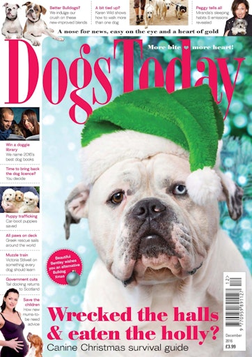 Dogs Today Magazine December 2016 Back Issue