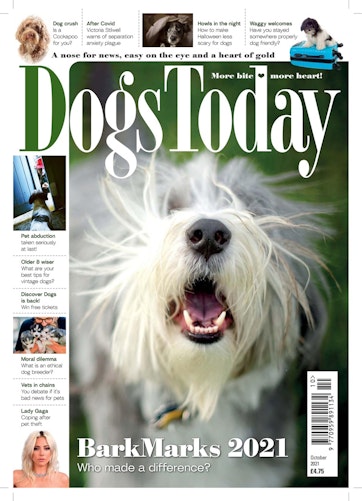 Dogs Today Magazine Preview
