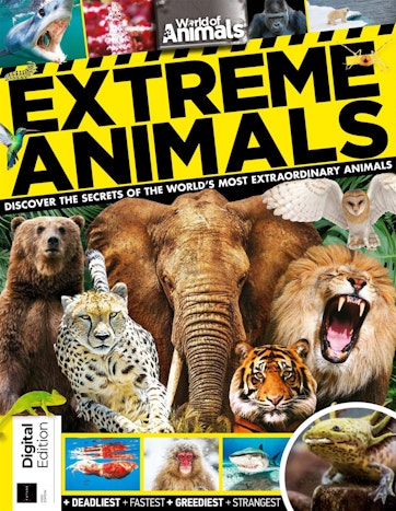 Extreme Animals Preview