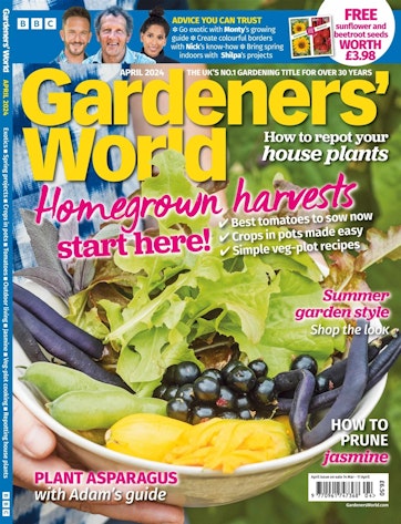Taking Mint Cuttings  BBC Gardeners World Magazine