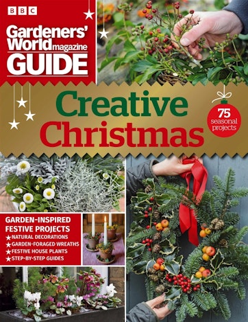 Modern Christmas Wreath - BBC Gardeners World Magazine