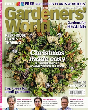 Best Winter-Flowering Plants  BBC Gardeners World Magazine