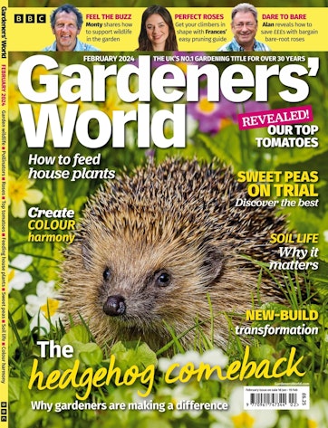 Identifying Bumblebees  BBC Gardeners World Magazine