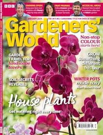 Best Winter Plants for Pots  BBC Gardeners World Magazine