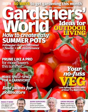 How to Grow Cherries  BBC Gardeners World Magazine
