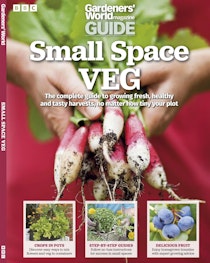 How to Grow Shallots  BBC Gardeners World Magazine