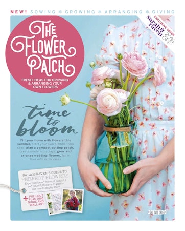 What to Grow with Roses  BBC Gardeners World Magazine