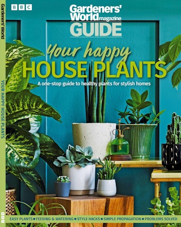 Best Plants for a Bathroom  BBC Gardeners World Magazine