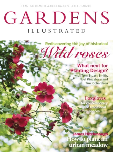Gardens Illustrated Preview