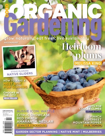 Good Organic Gardening Magazine Issue 10 2 Subscriptions
