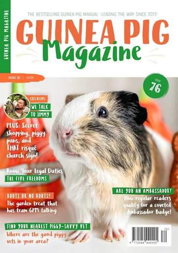 Guinea Pig Magazine Preview
