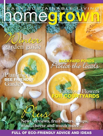 HomeGrown Preview