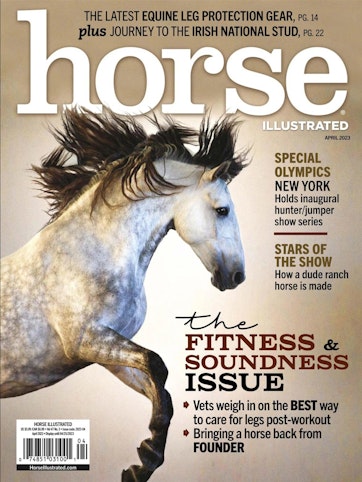 Leg Boots for Horses - Horse Illustrated Magazine