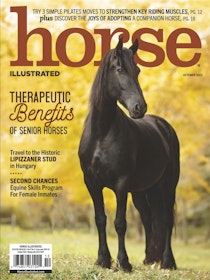 Colorit  The Horse Magazine
