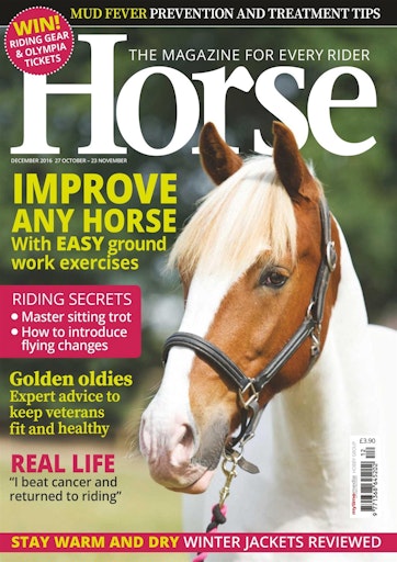 Horse Preview