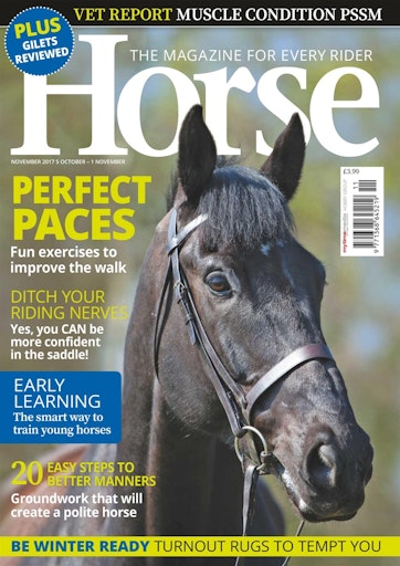 Horse Preview