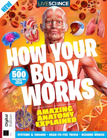 How Your Body Works Preview